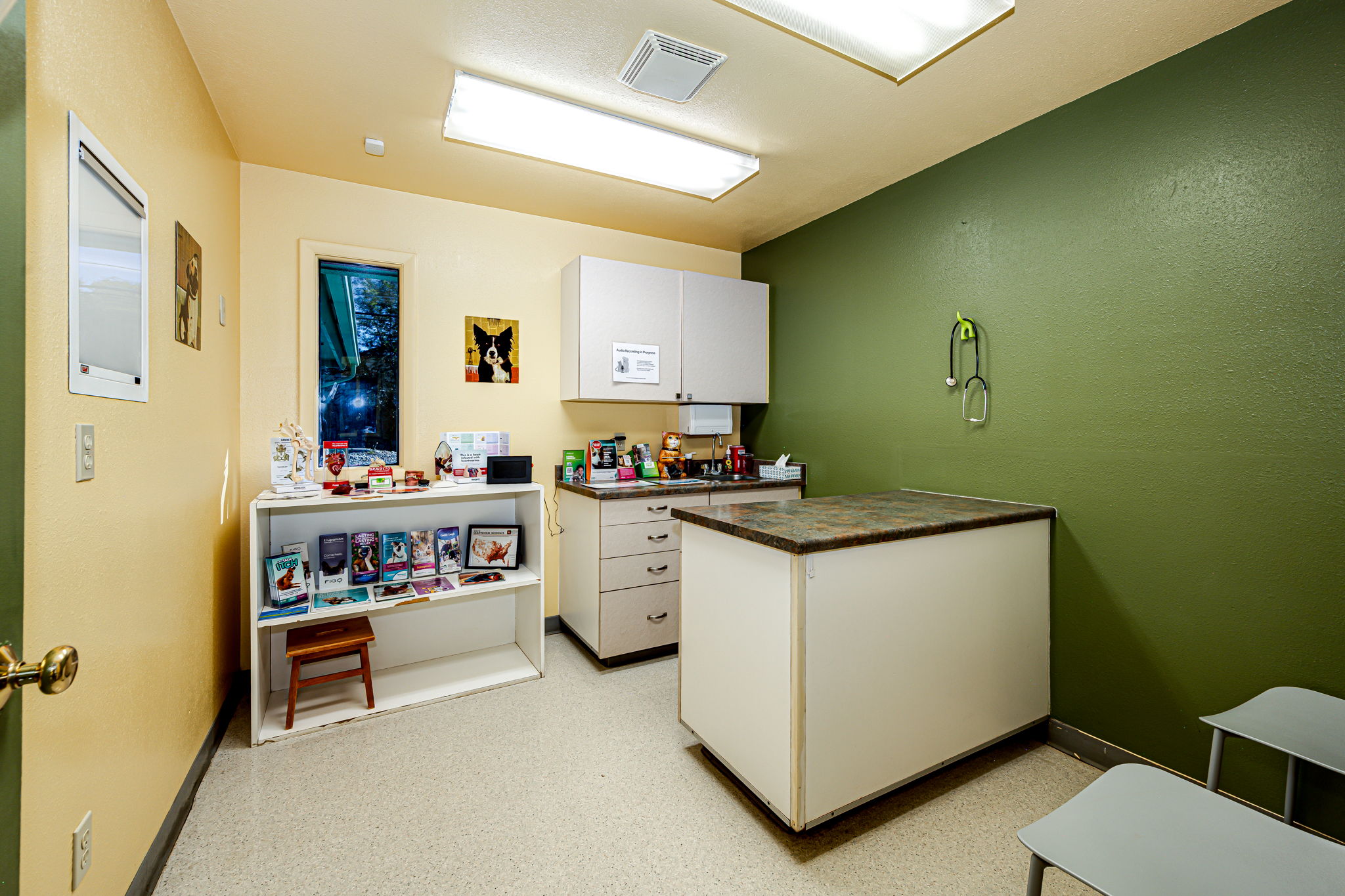  Photo 21