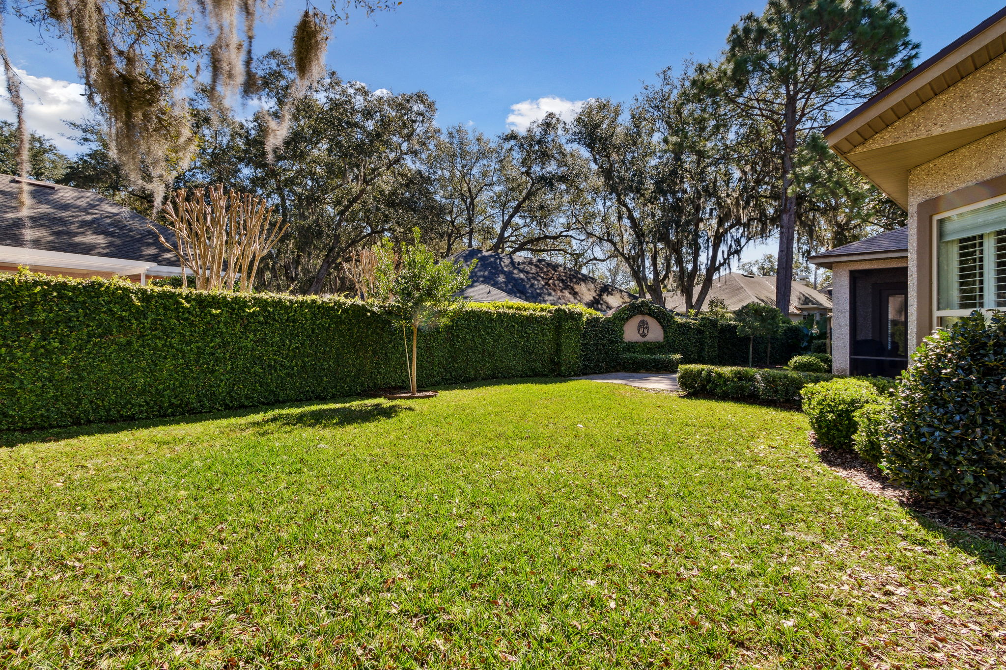 Backyard