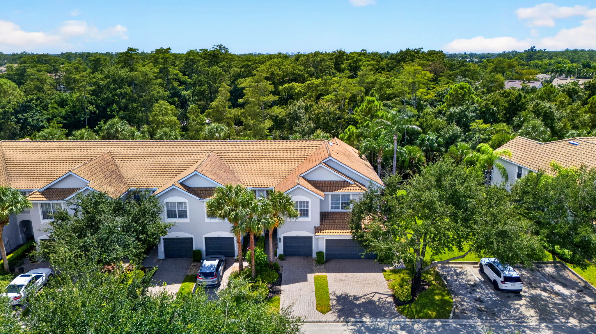 Aerial Front Exterior 1