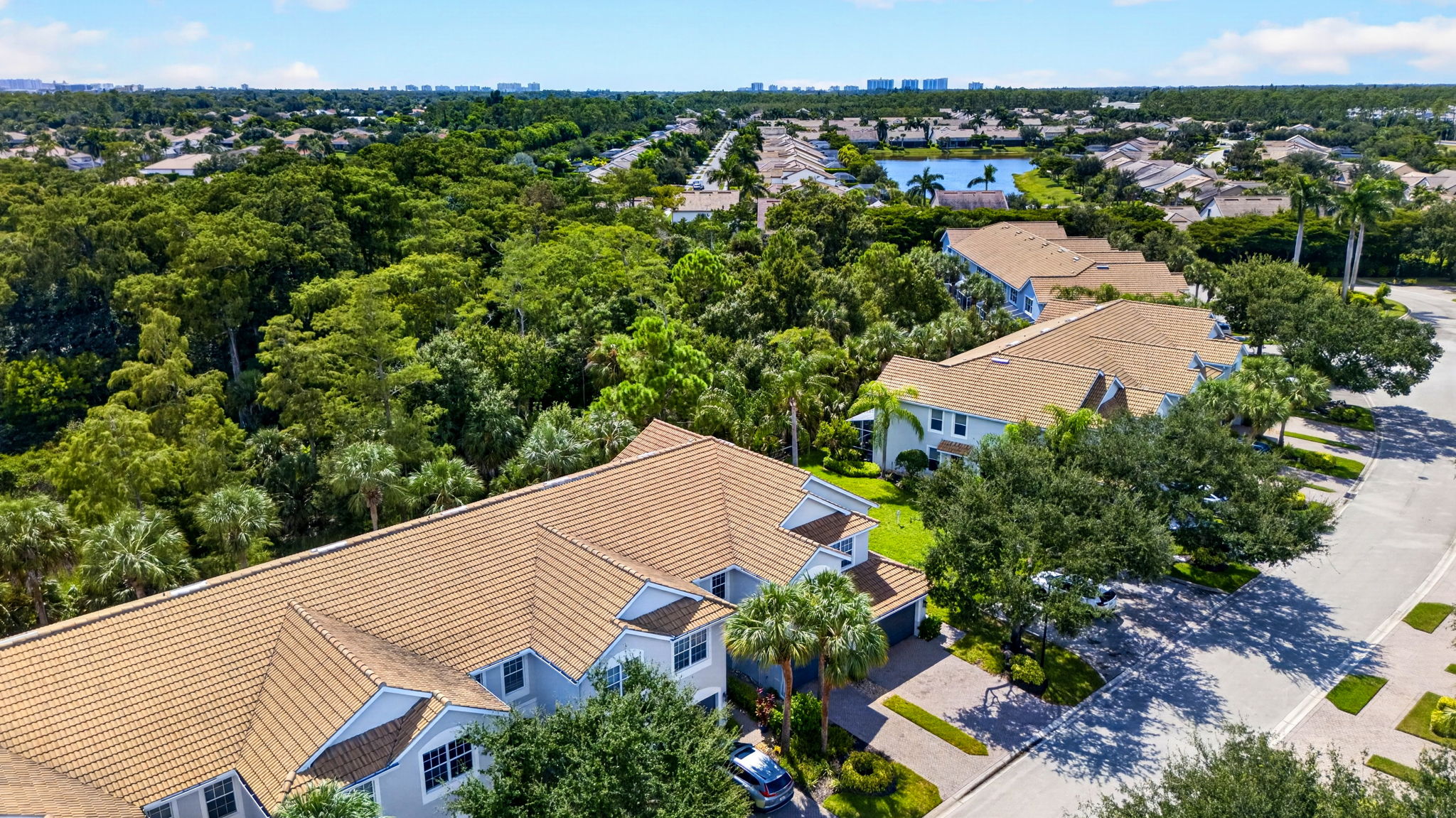 Aerial Front Exterior 3