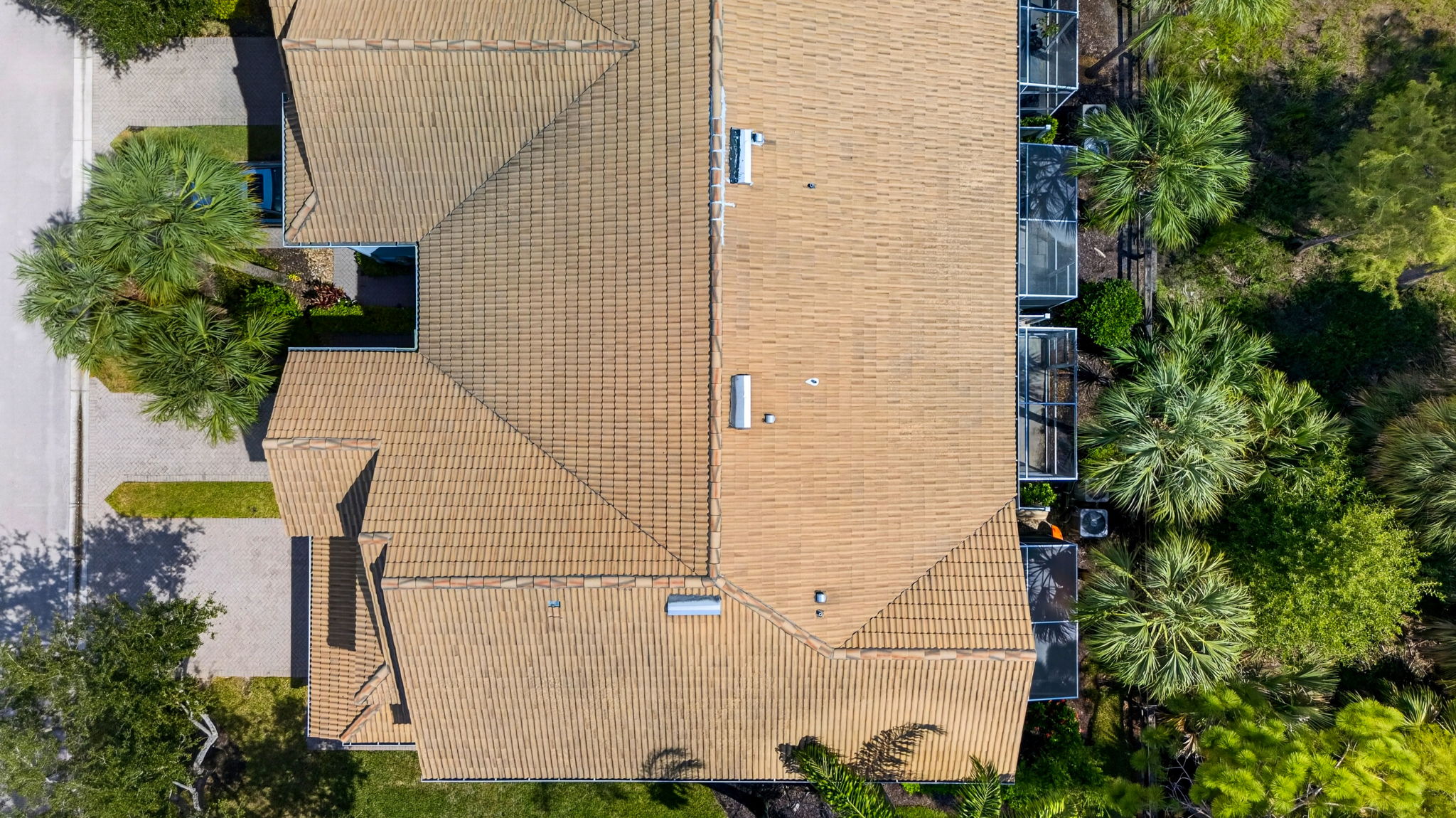 Aerial Overview