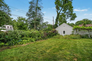  Photo 43