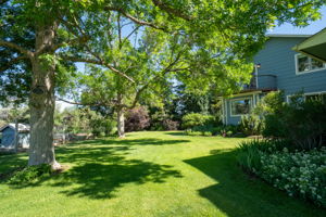  Photo 134