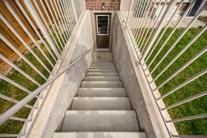  Photo 50
