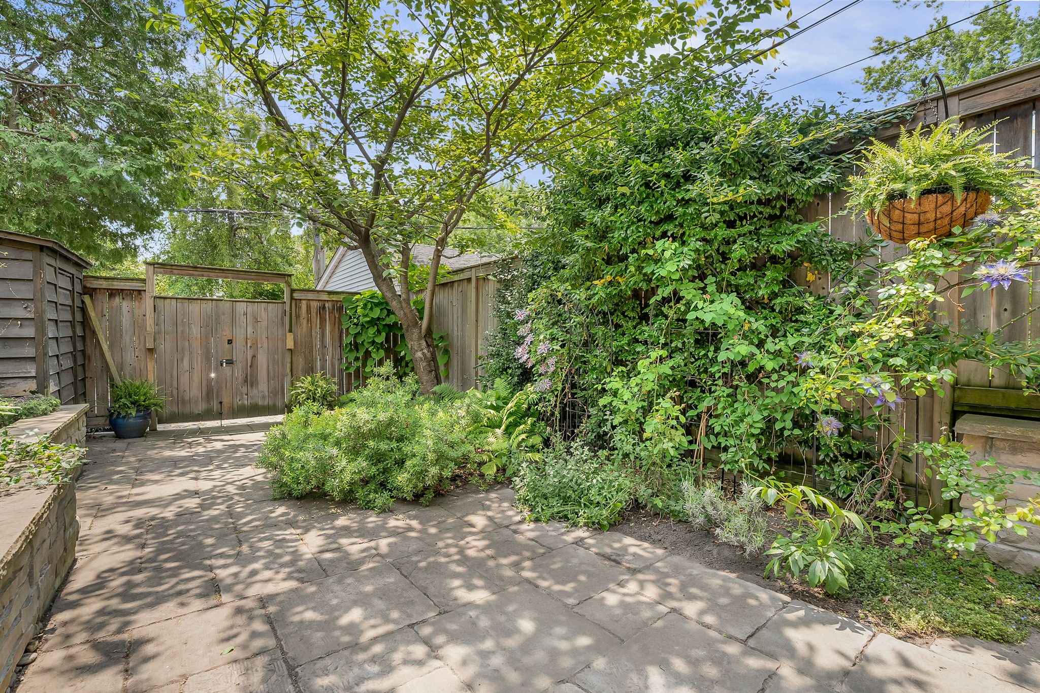 50-backyard3