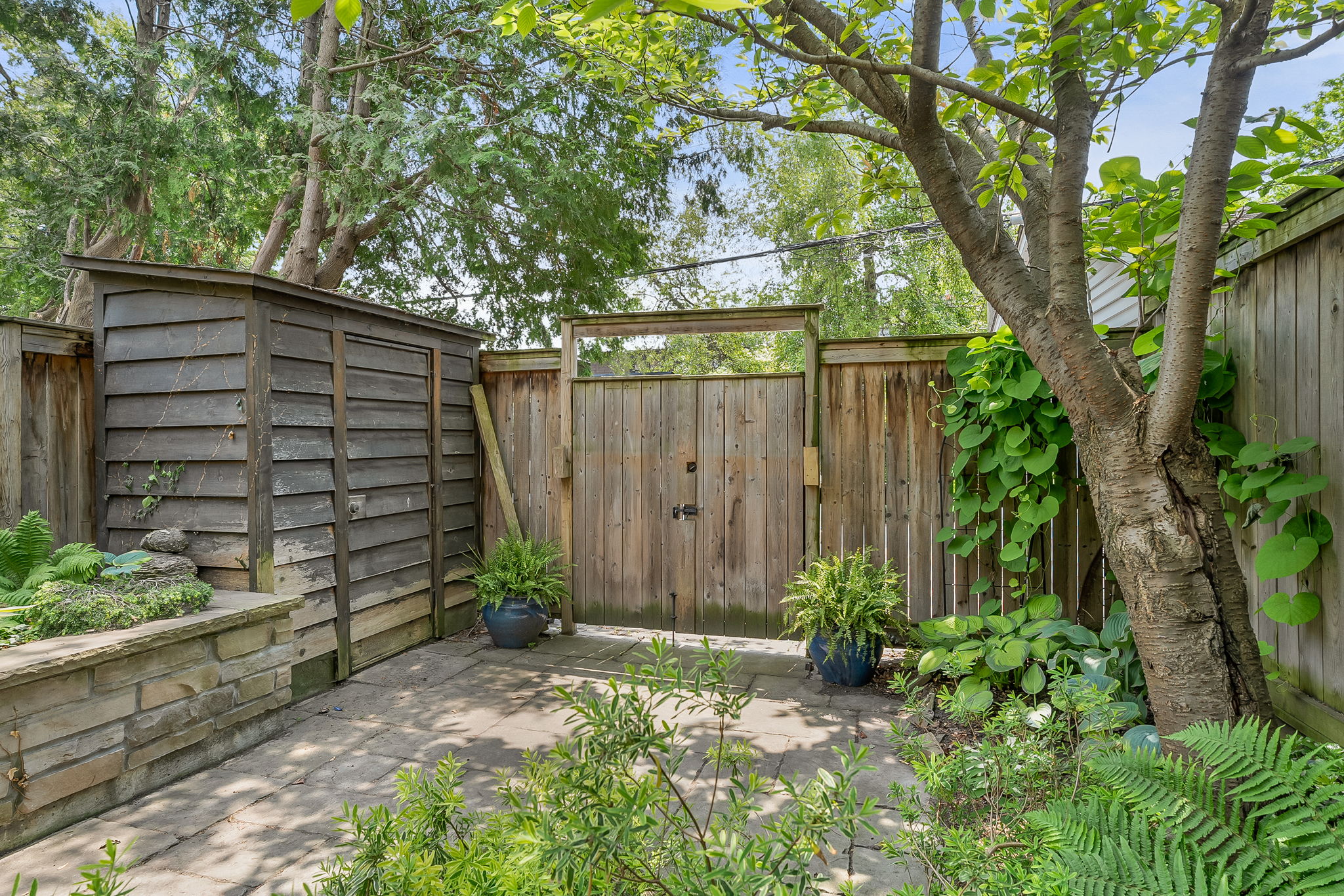 52-backyard5