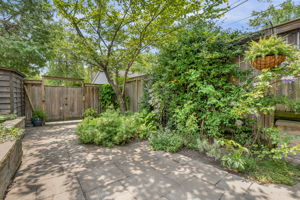 50-backyard3