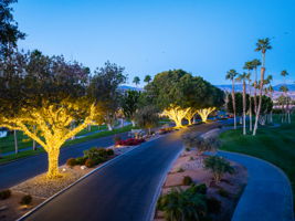 161 Old Ranch Rd, Palm Desert, CA 92211, USA Photo 35