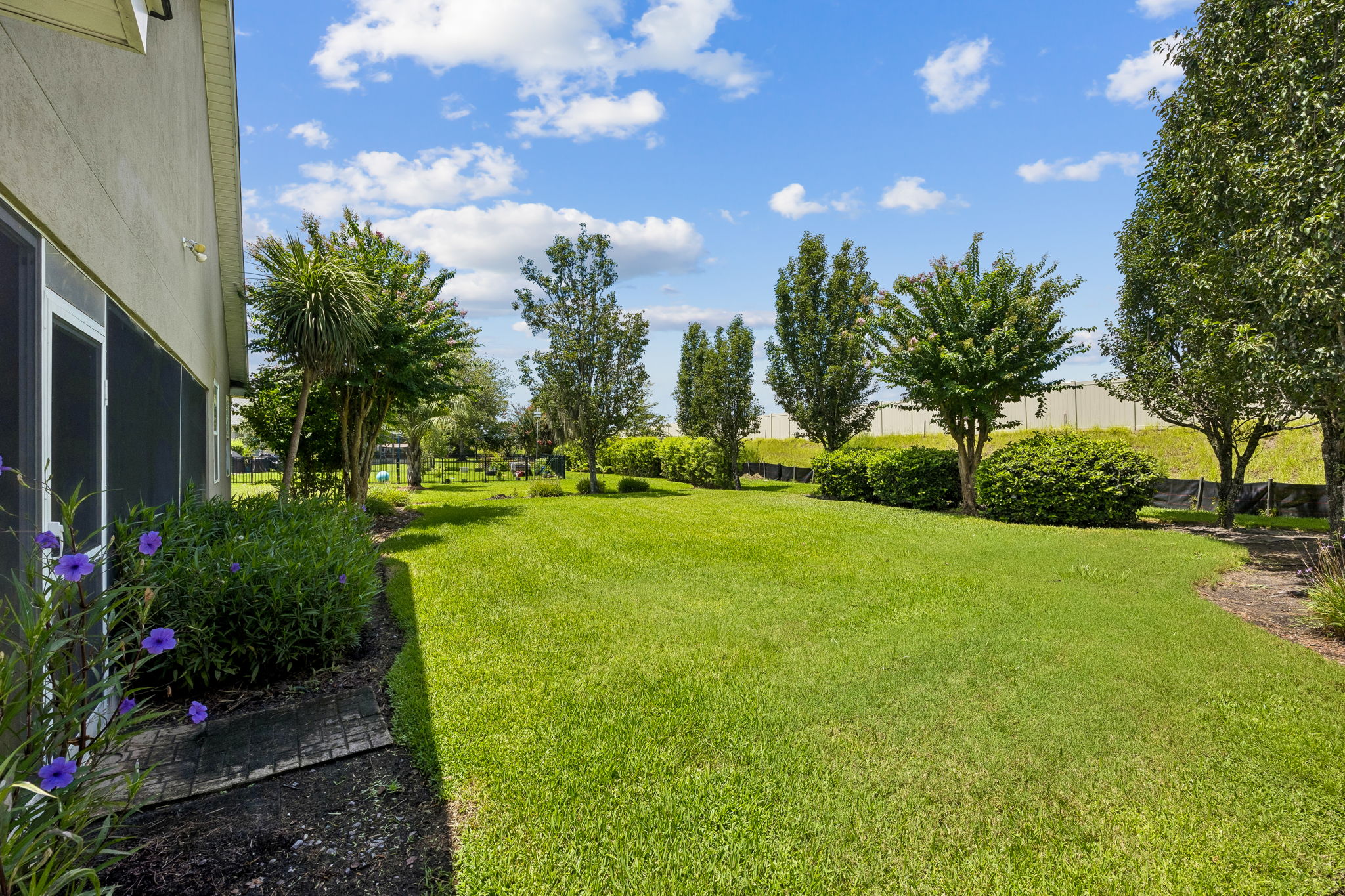 Backyard
