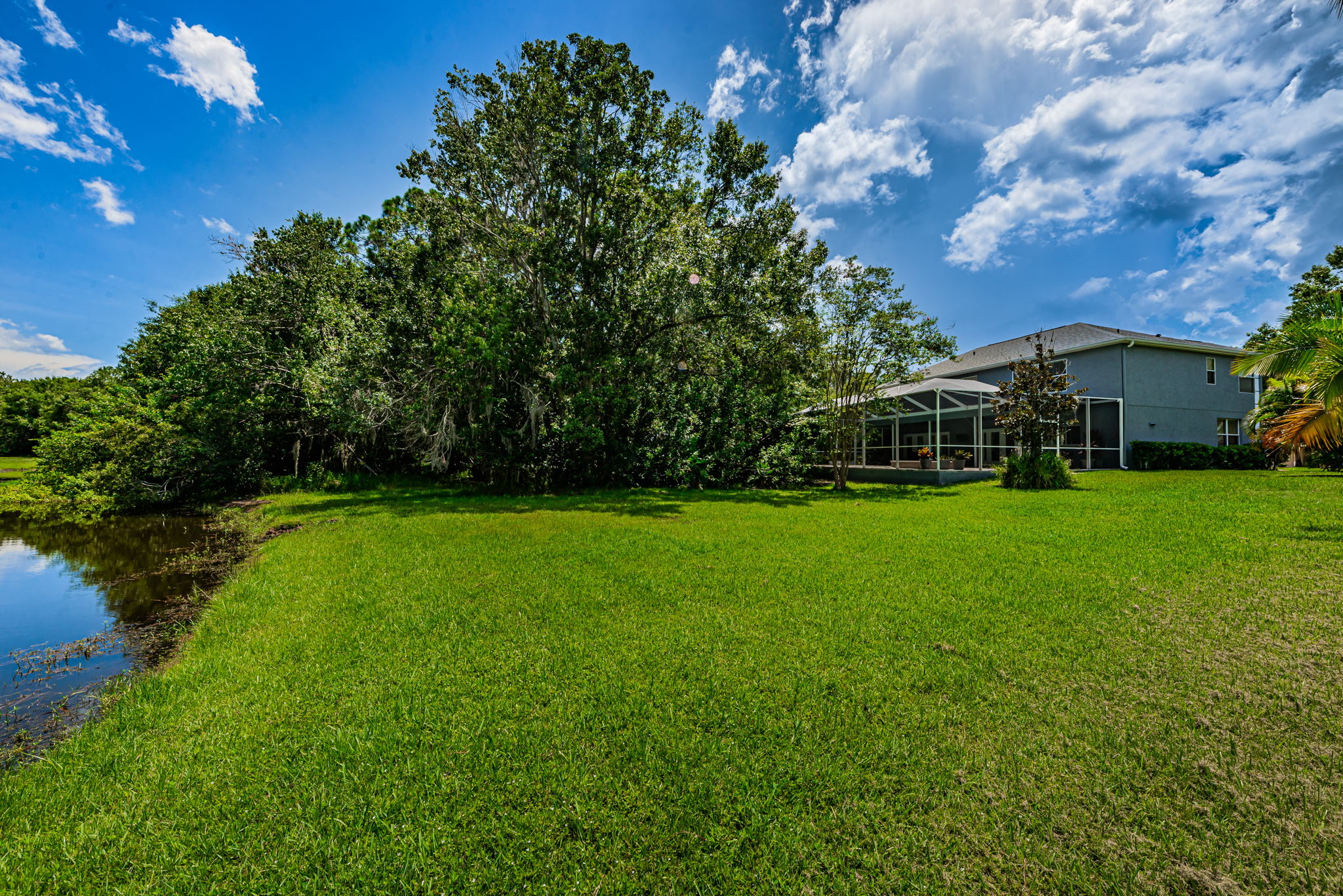 Backyard8