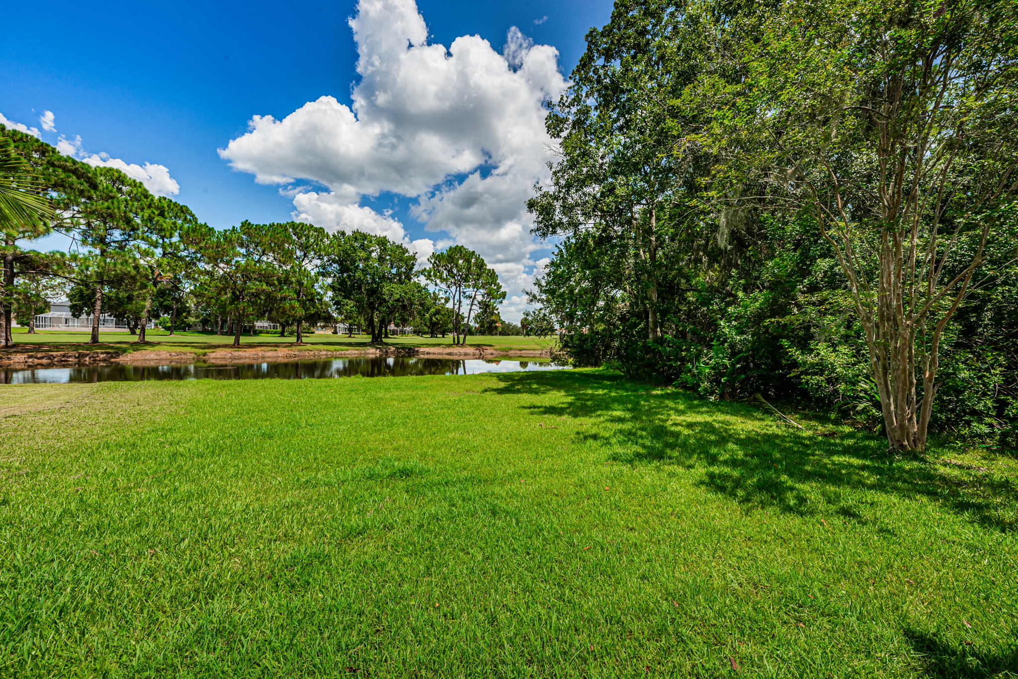 Backyard2