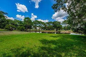 Backyard7