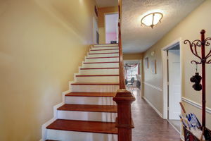 Saltlick Pl-011