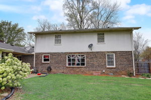 Saltlick Pl-048