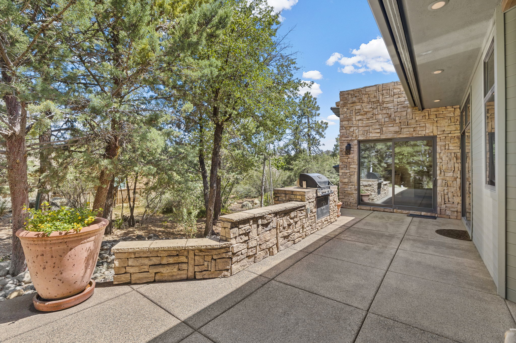 Back Patio 3