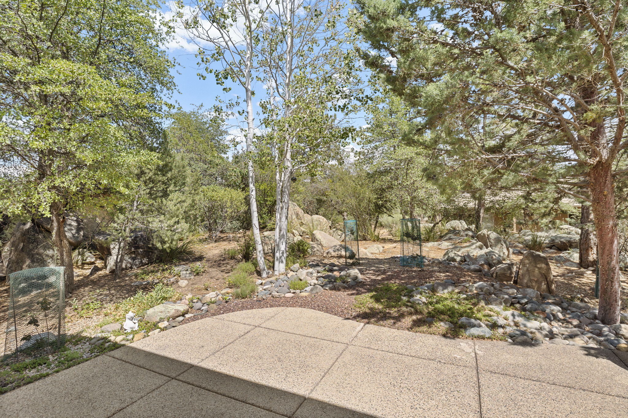 Backyard 2