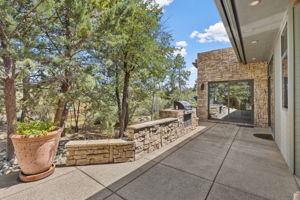 Back Patio 3