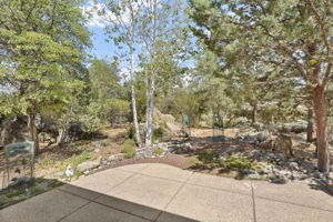 Backyard 2