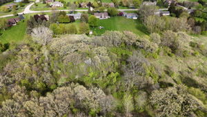 16129 Harmony Rd Lot 1 - 003