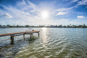 Dock1