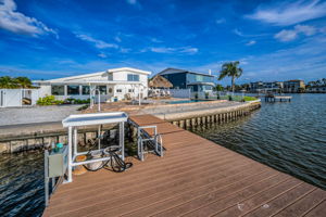 Dock5