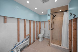 Lower Level Bathroom