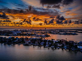 Aerial (45)