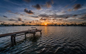Dock20