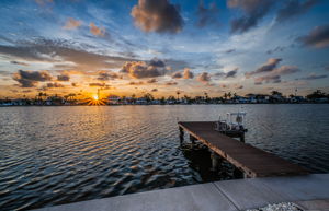 Dock22