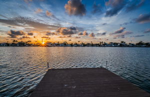 Dock23