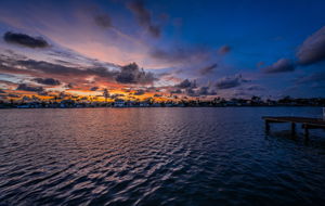 Dock33