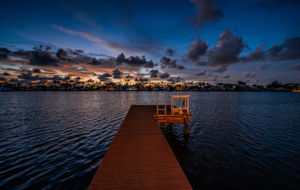 Dock41