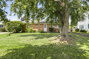  Photo 0