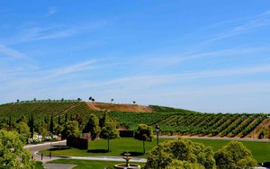 1615 Chianti Ln, Brentwood, CA 94513, USA Photo 46