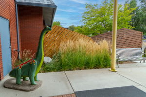  Photo 49