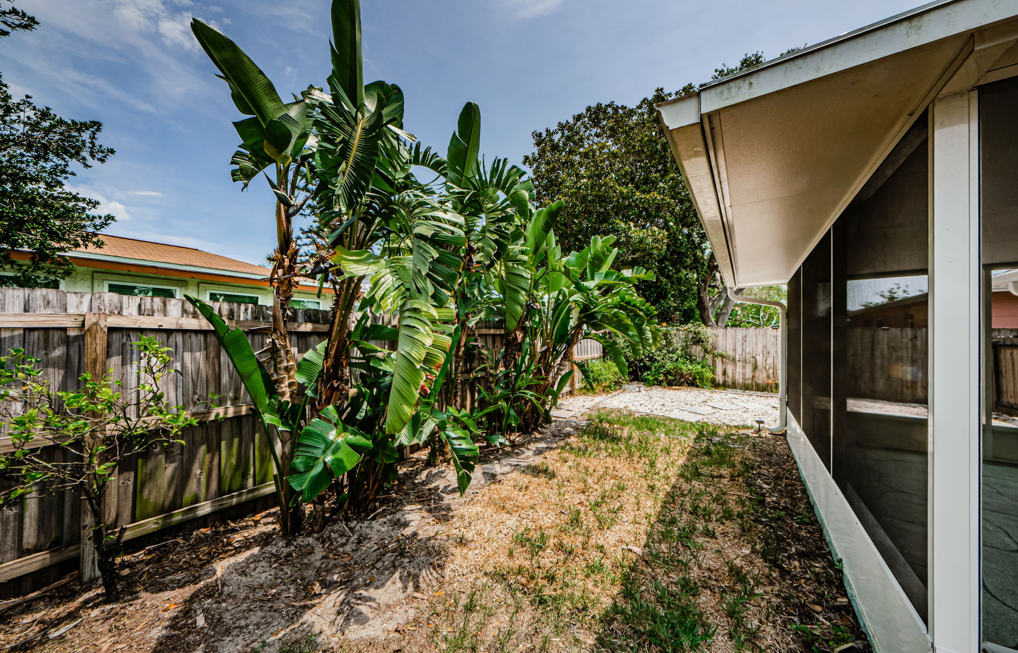 Backyard 3-2