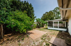 Backyard 1-2