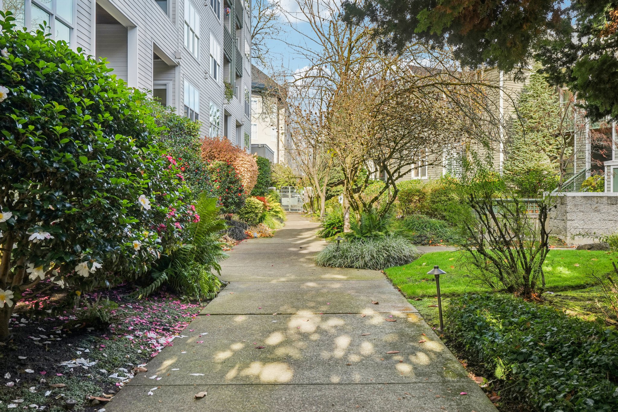 S Harbor Way-S2011-031.jpg