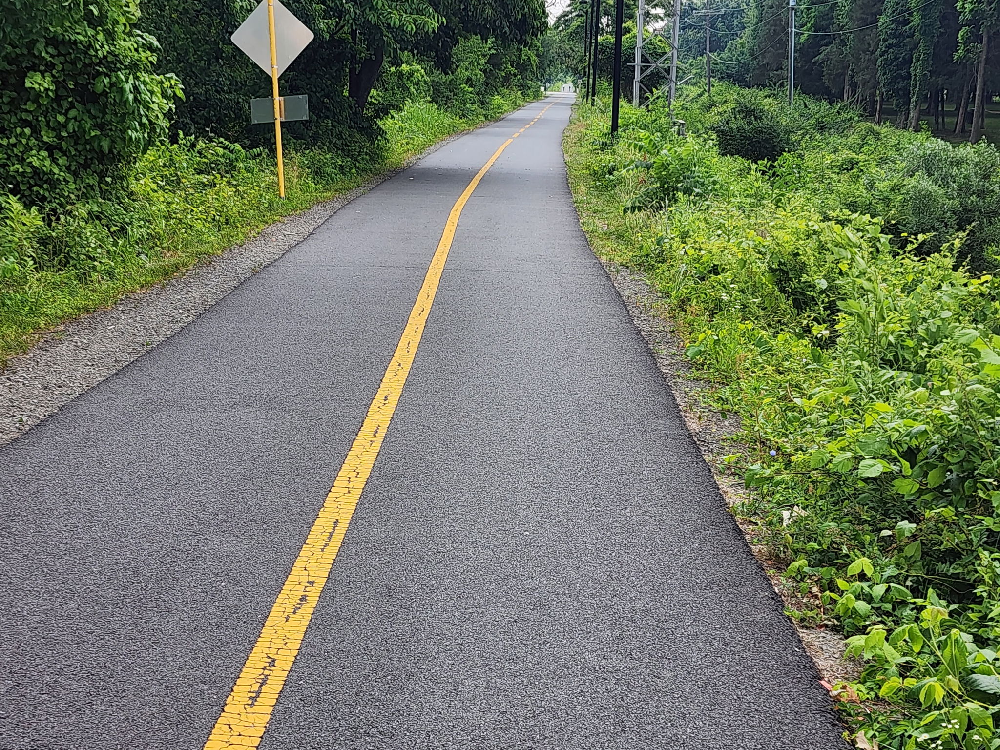 1 mile walk to access the W&OD Trail