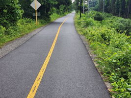 1 mile walk to access the W&OD Trail