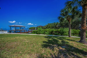 Backyard52