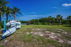 Backyard61