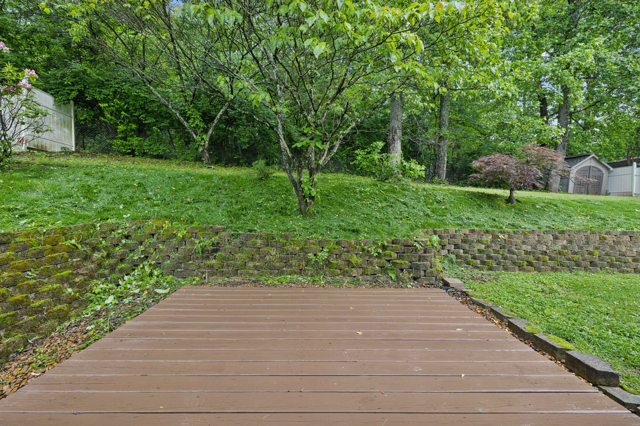  Photo 45