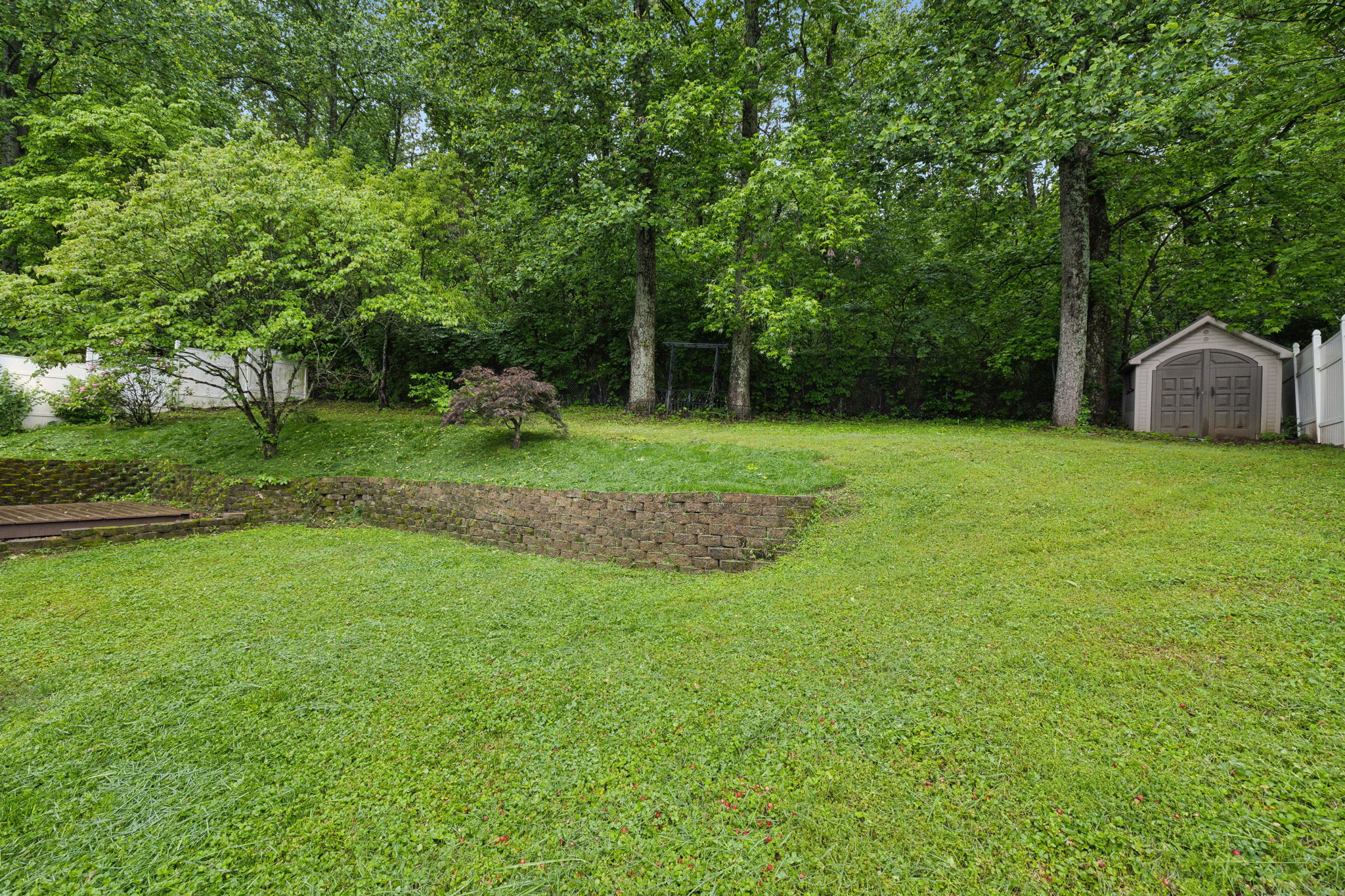  Photo 48