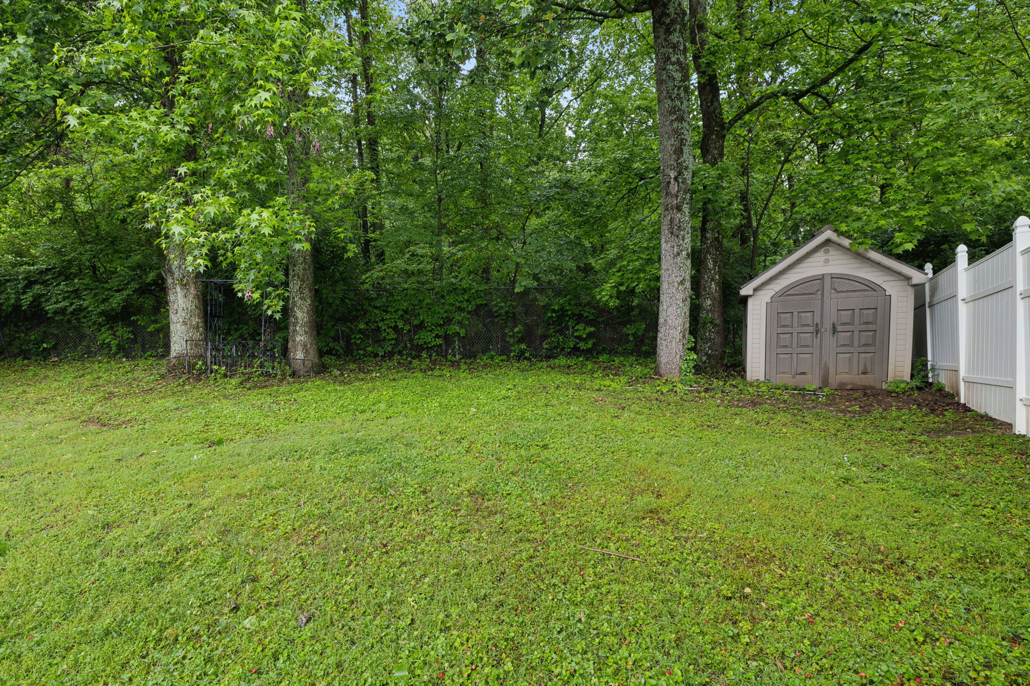  Photo 49