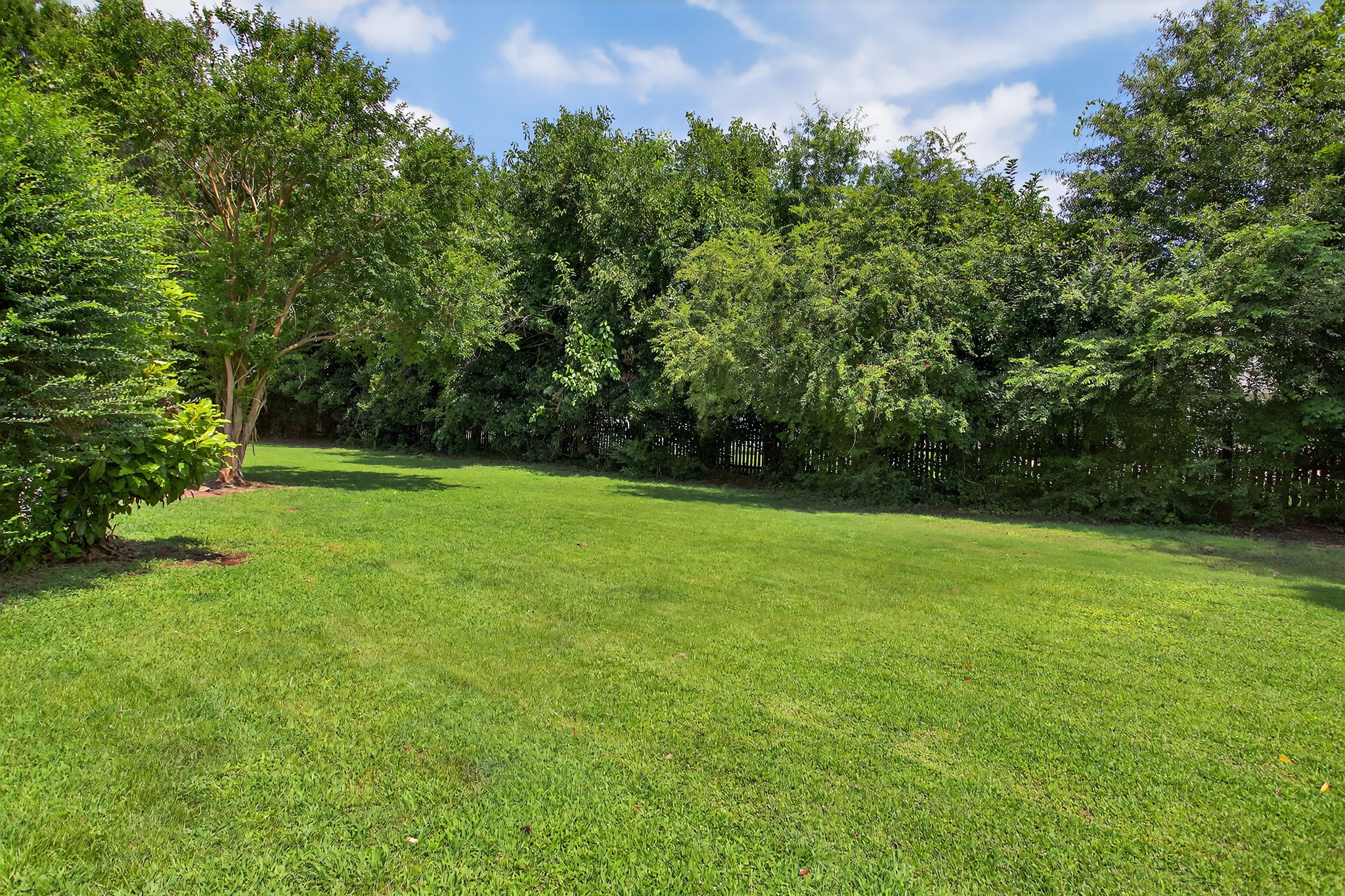 Wide open lawn with room to roam—perfect for yard games, hosting gatherings, or adding your dream pool.