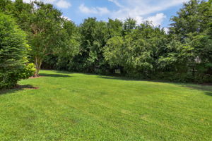 Wide open lawn with room to roam—perfect for yard games, hosting gatherings, or adding your dream pool.