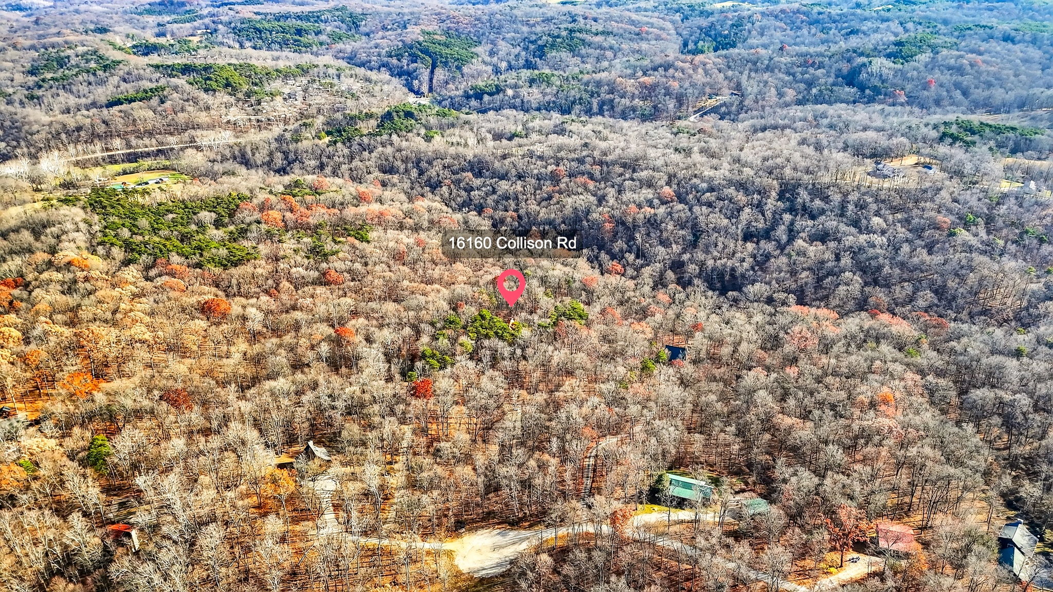 16160 Collison Rd 4