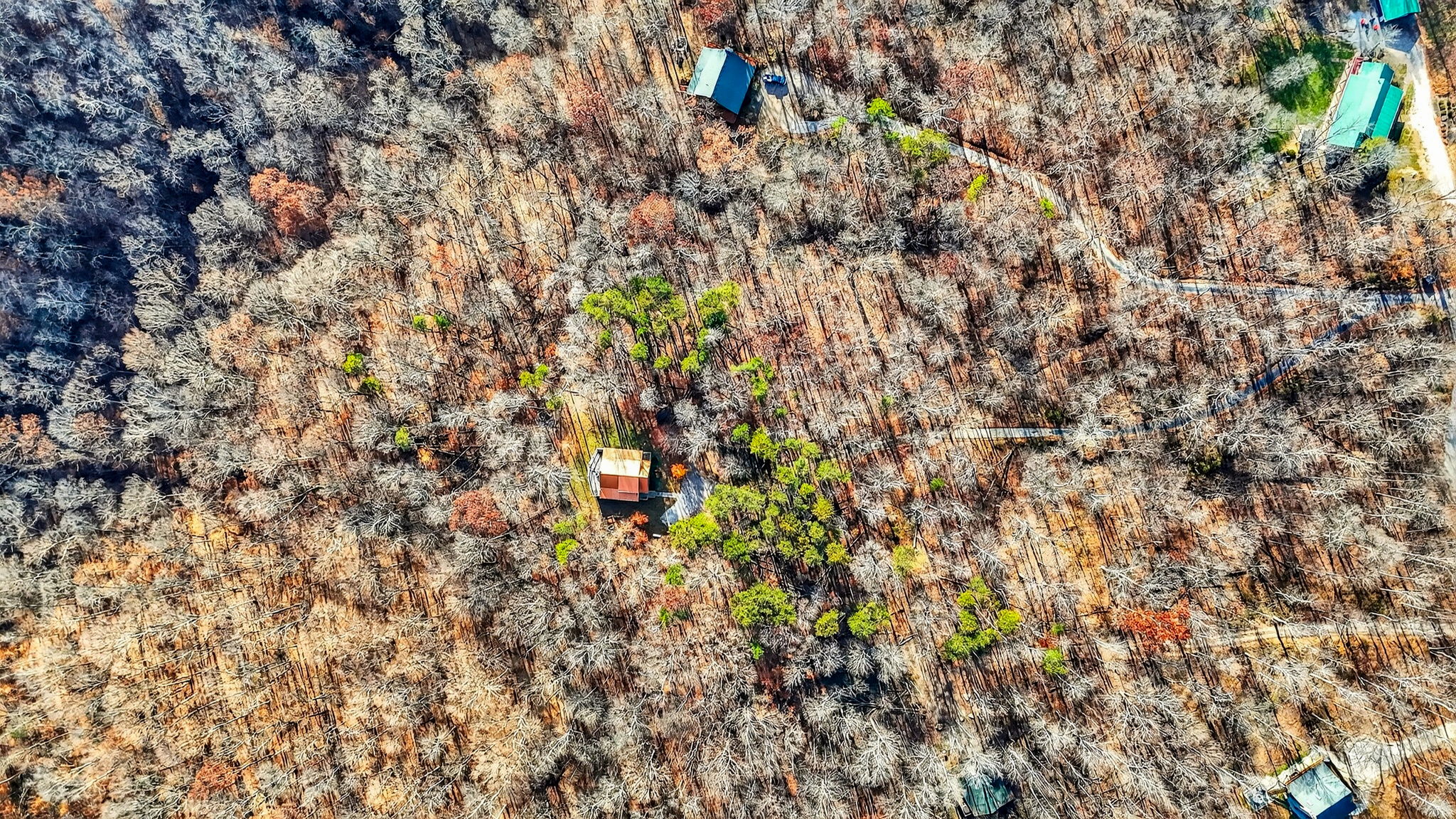 16160 Collison Rd 12