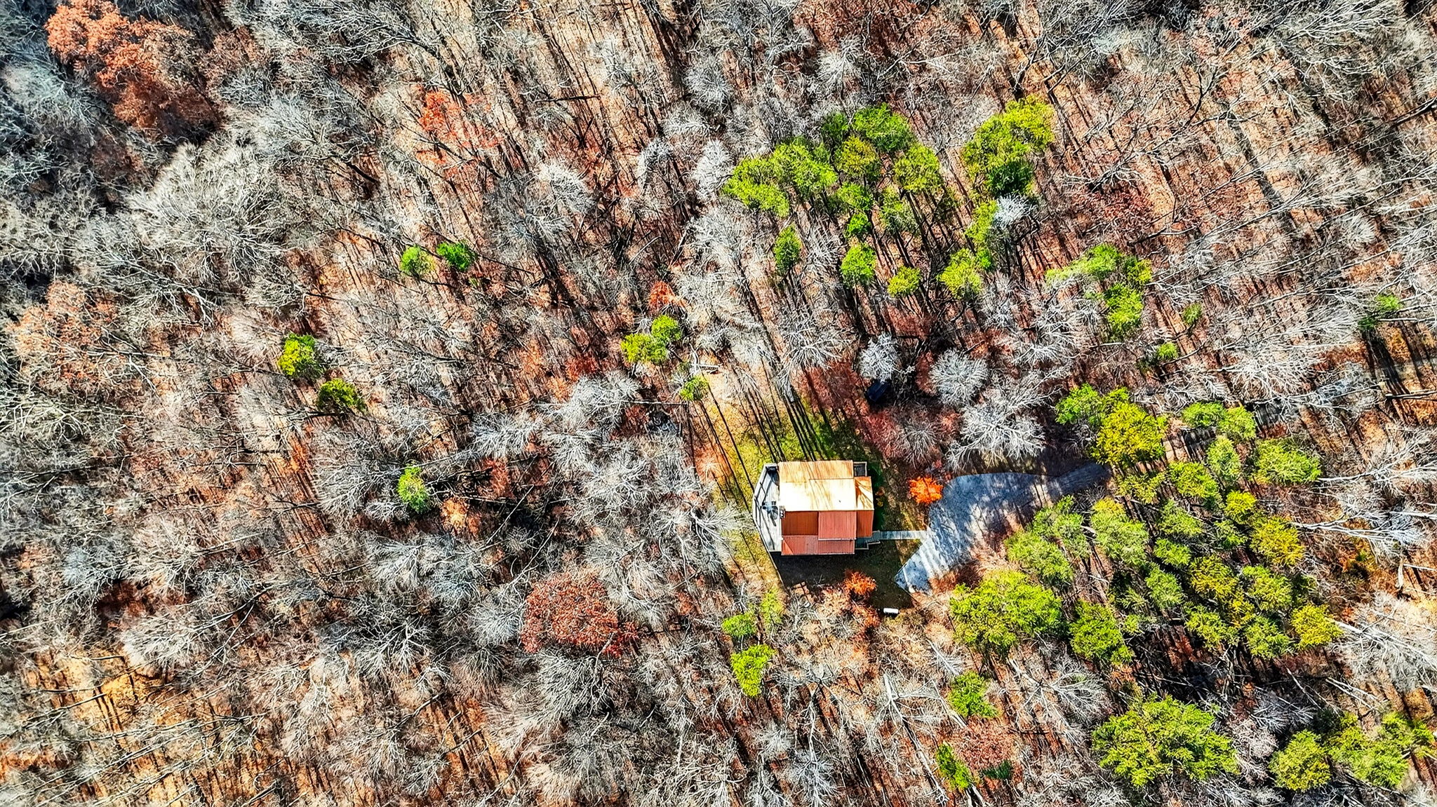 16160 Collison Rd 13